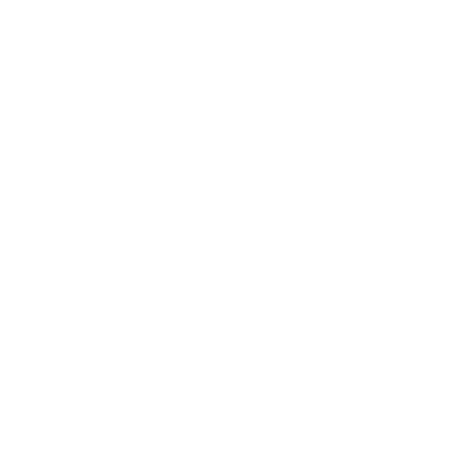 LinkedIn Logo Blanc